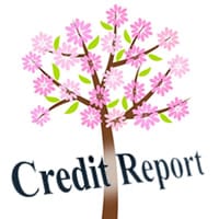 credit_report_may