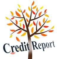 credit_report_fall